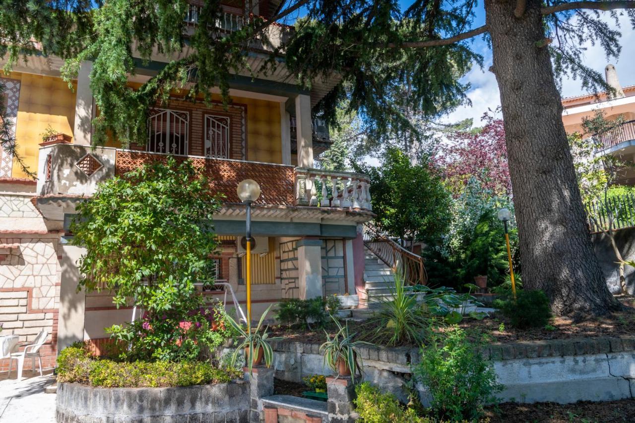 Casa Vacanze Gioia تريكاستانيي المظهر الخارجي الصورة
